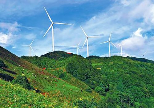 一個風(fēng)力發(fā)電機組整體造價要多少錢？